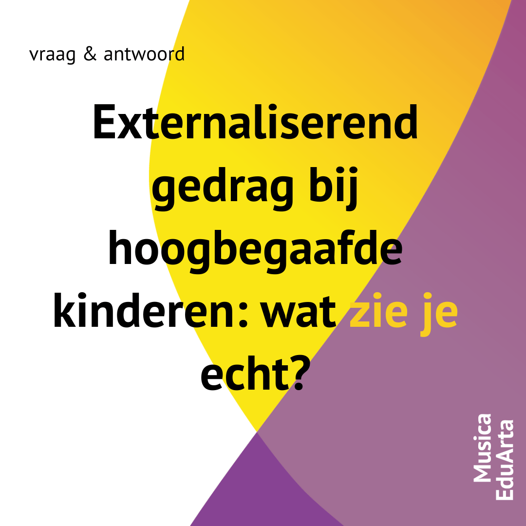 Externaliserend gedrag hoogbegaafde