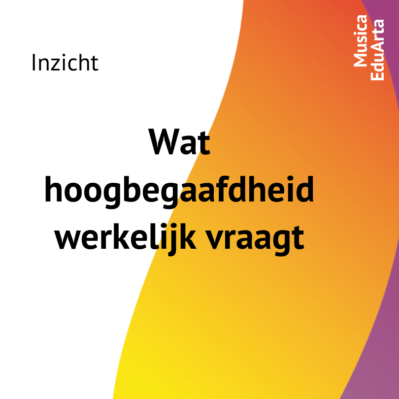 Begeleiding hoogbegaafdheid
